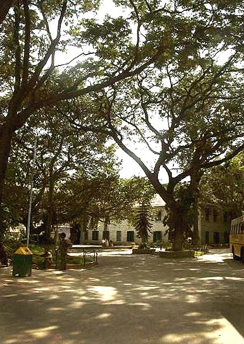 campus, KG in distance